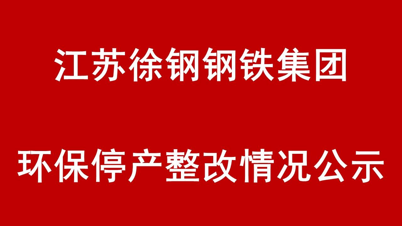 江苏尊龙凯时集团有限公司环保停产整改情况公示