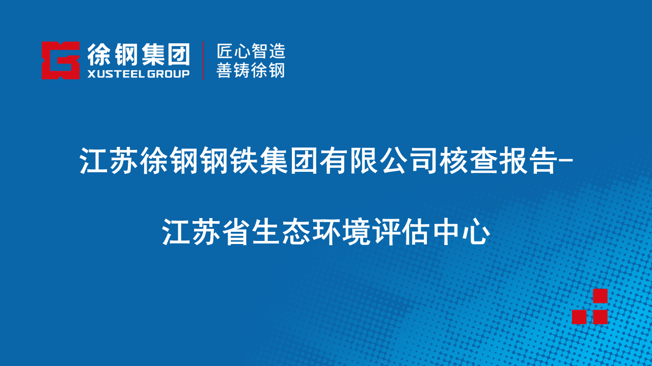 江苏尊龙凯时集团有限公司核查报告-江苏省生态环境评估中心