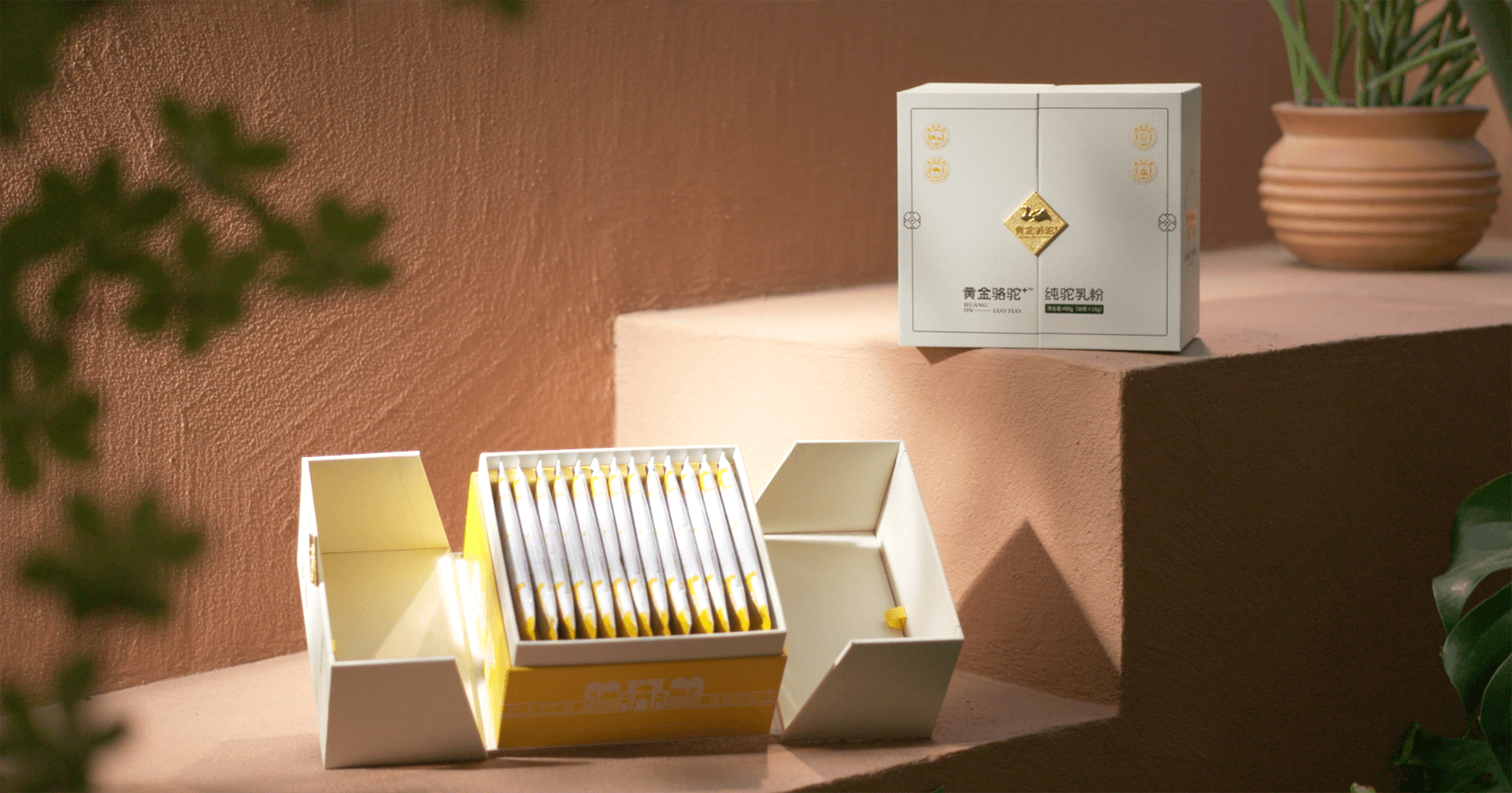 定位小众高端乳粉，尊龙凯时推出驼奶品牌“黄金骆驼+”，角逐乳品新市场！